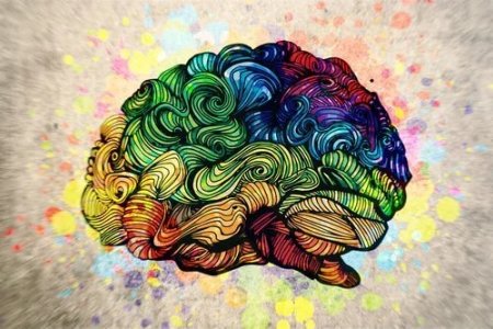 cervello-colorato.jpg
